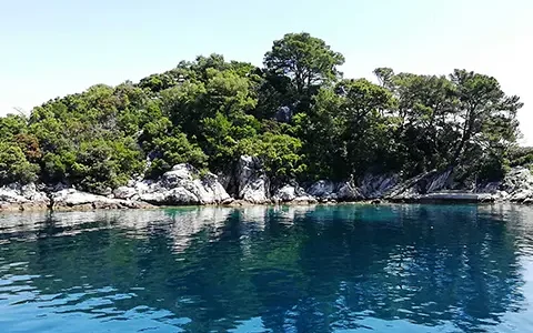 1 Mljet